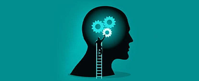 Gears in the human mind